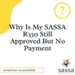 Why Is My SASSA R350 Still Approved But No Payment